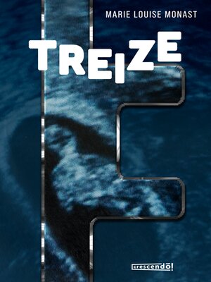 cover image of Treize